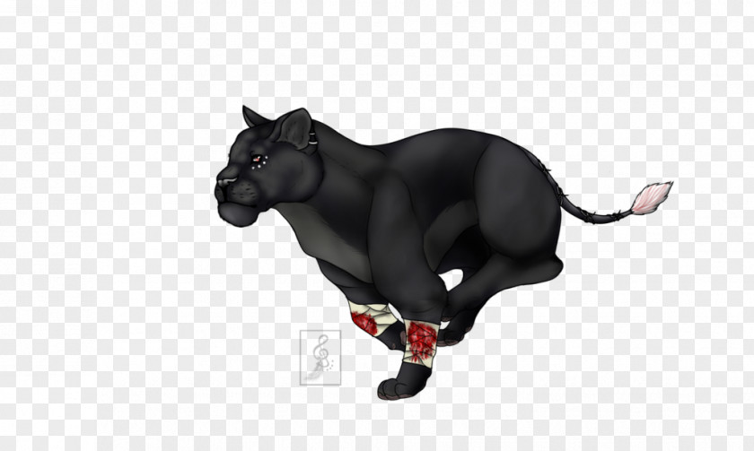 Running Clock Puma Snout Black M Panther PNG