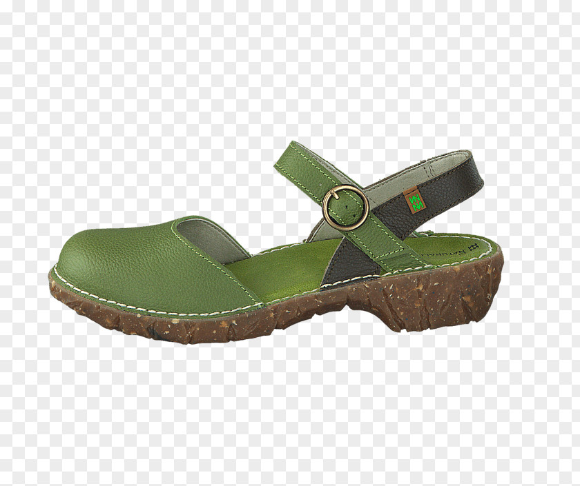 Soft Green Blue Brown Clog Shoe PNG