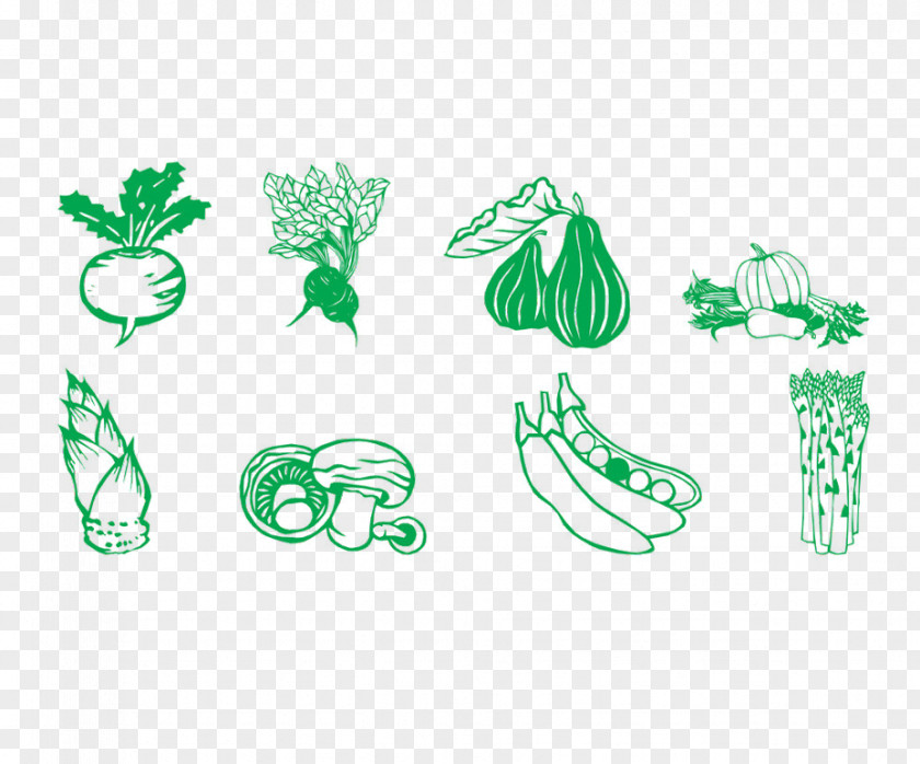 Vegetable Icon Illustration PNG