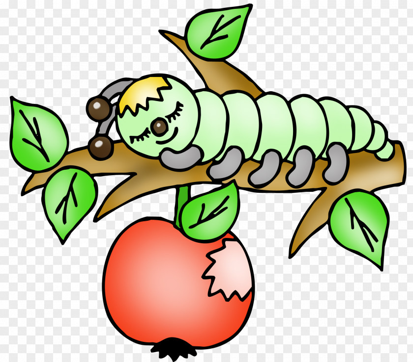 Caterpillar Drawing Child Clip Art PNG