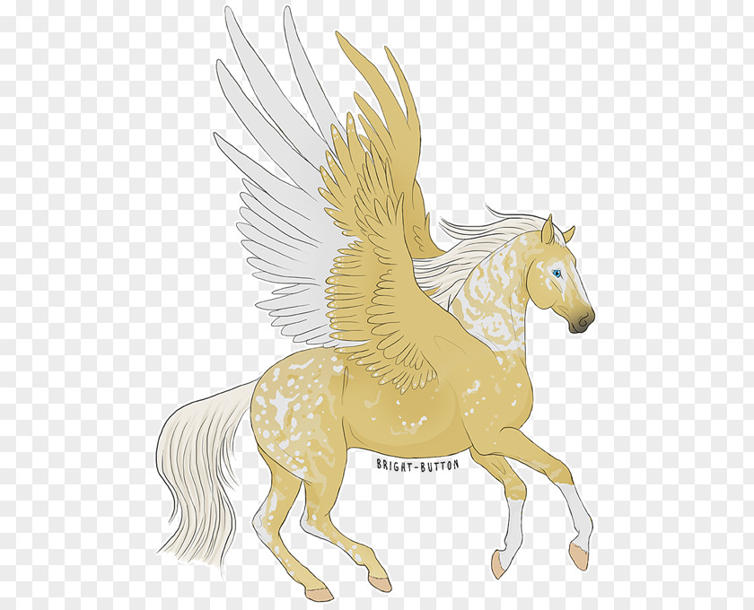 Palomino Pegasus Mane Mustang Unicorn Stallion Donkey PNG