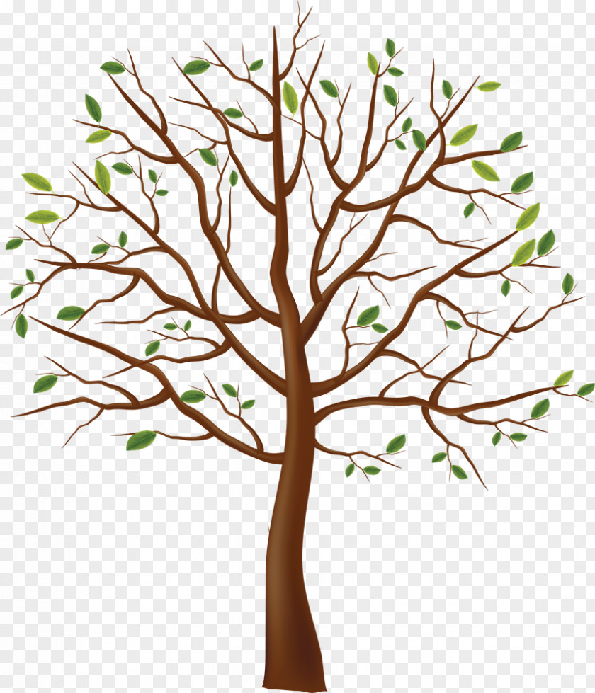 Tree Clip Art PNG