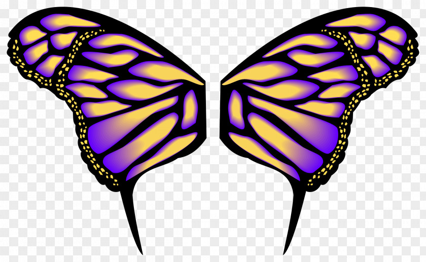 Wings Butterfly Drawing Clip Art PNG