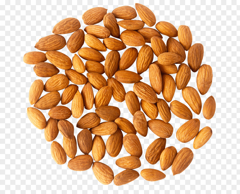Almond Nuts Peanut Fat PNG