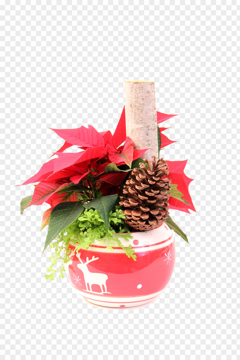 Design Floral Flowerpot PNG