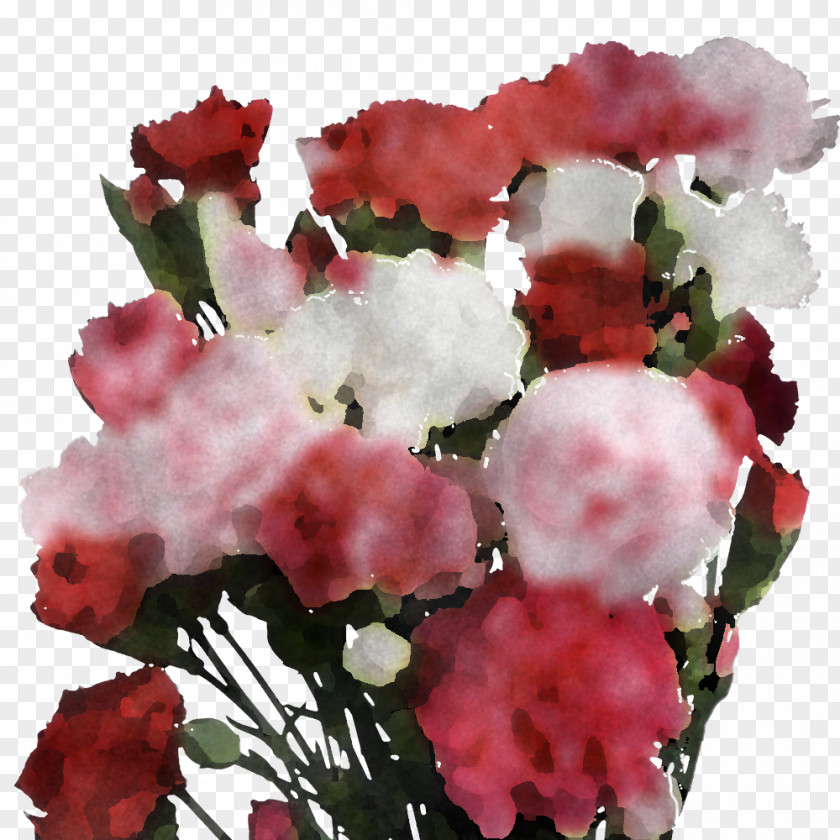 Floral Design PNG