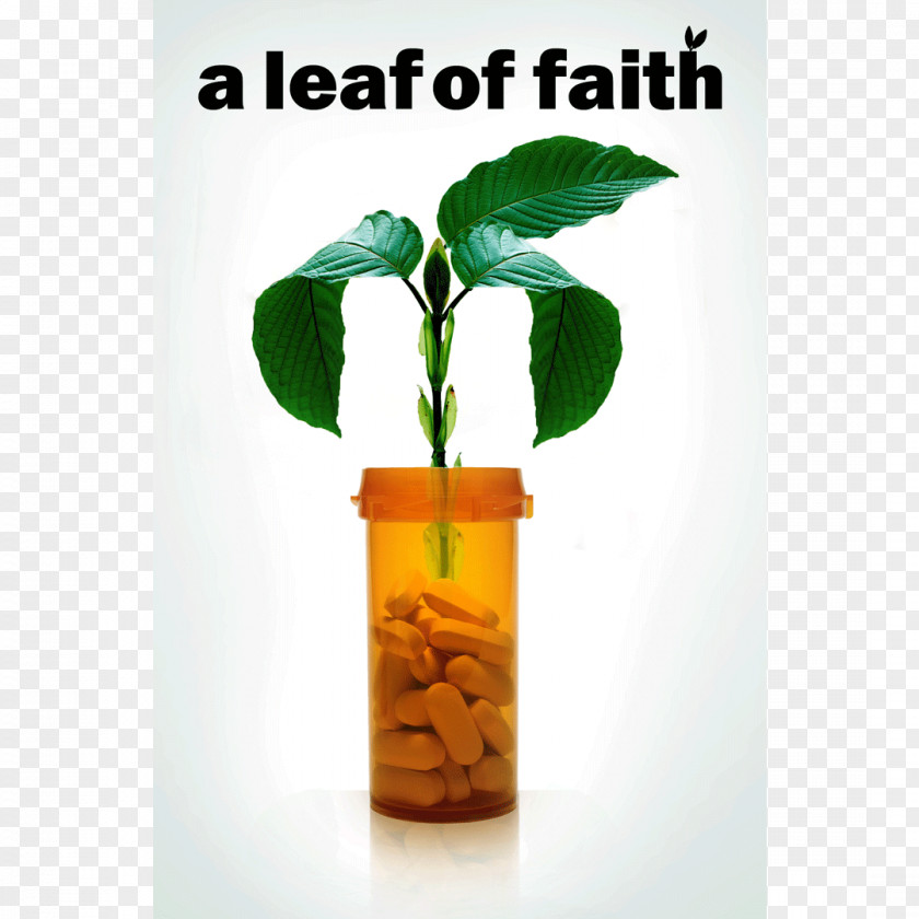 Youtube Documentary Film YouTube Director Leaf PNG