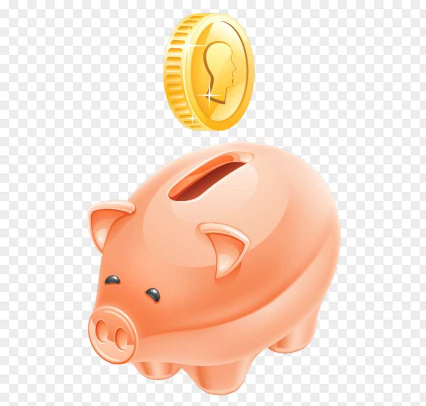 Bank Piggy Coin Clip Art PNG