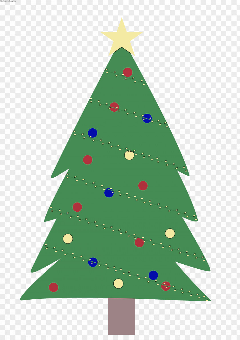 Fir White Pine Christmas Tree PNG