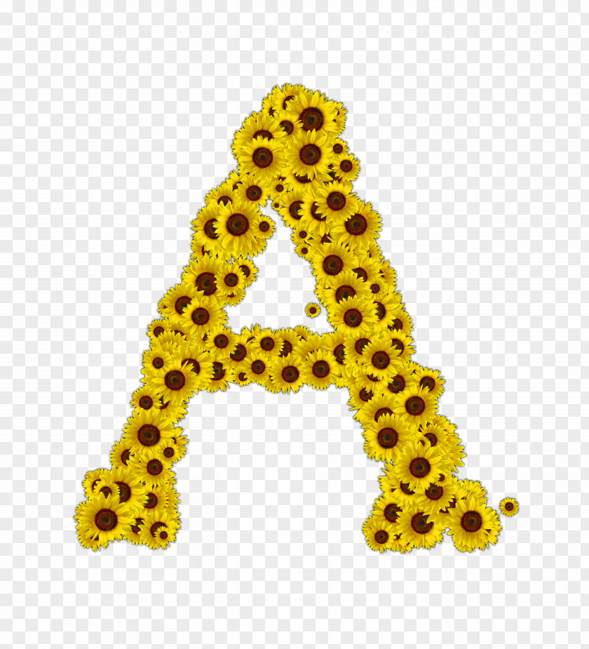 Giraffe Body Jewellery Font PNG
