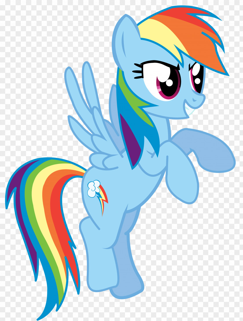 Pony Rainbow Dash Drawing Derpy Hooves Art PNG