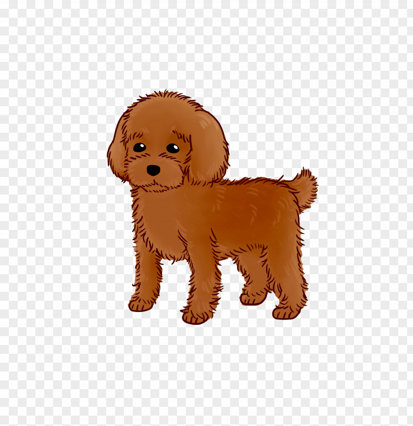 Puppy Goldendoodle Dog Breed Water Companion PNG