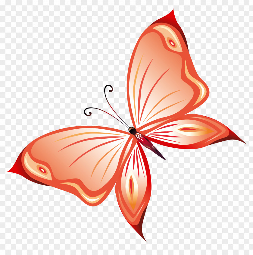 Transparent Red Butterfly PNG Clipart Queen Alexandra's Birdwing Clip Art PNG
