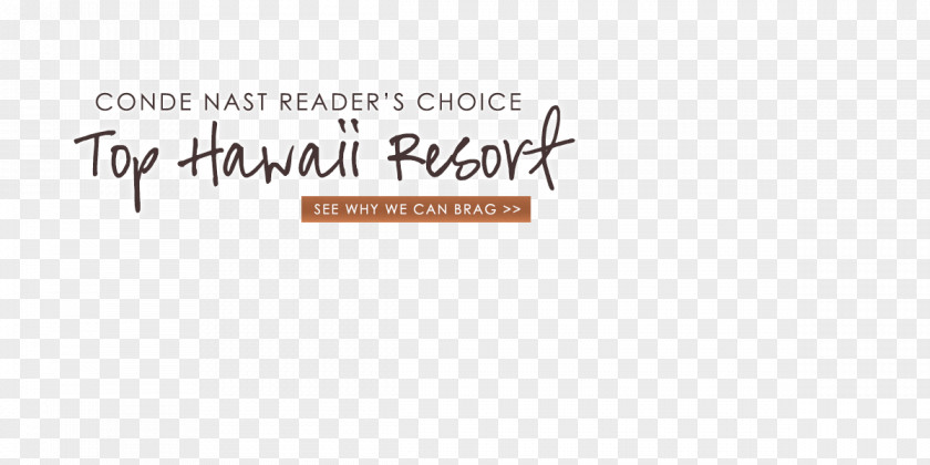 Aloha Text Logo Brand Font Product Design PNG