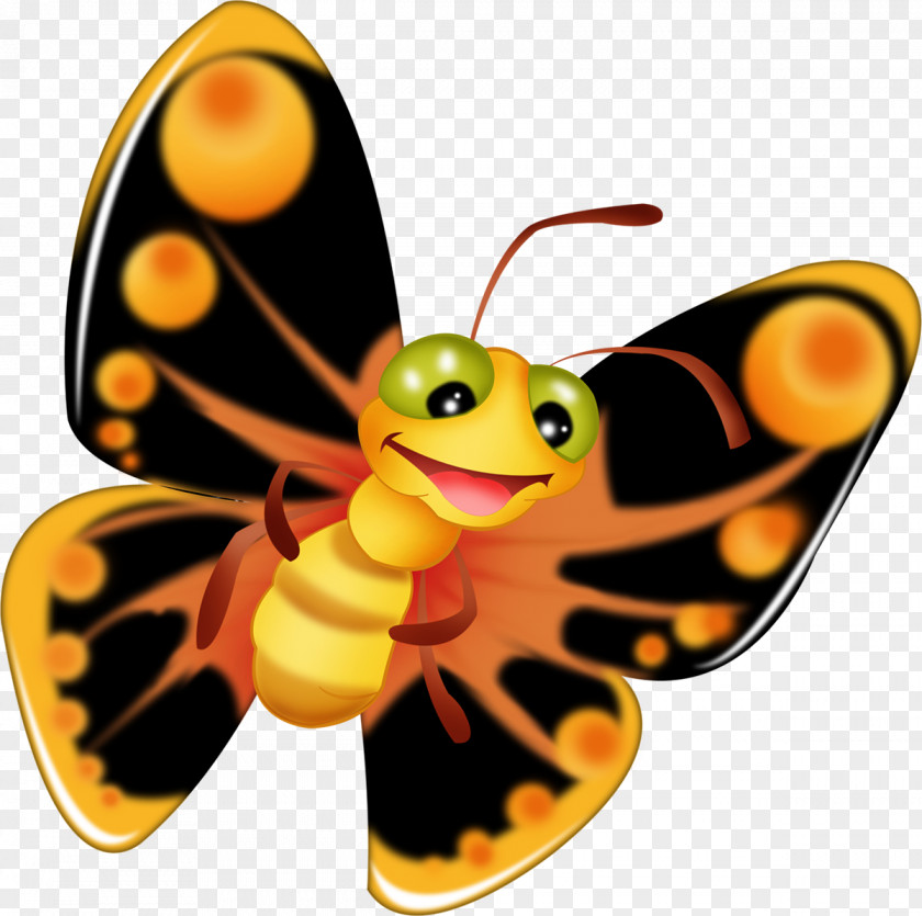 Bugs Butterfly Cartoon Drawing Clip Art PNG