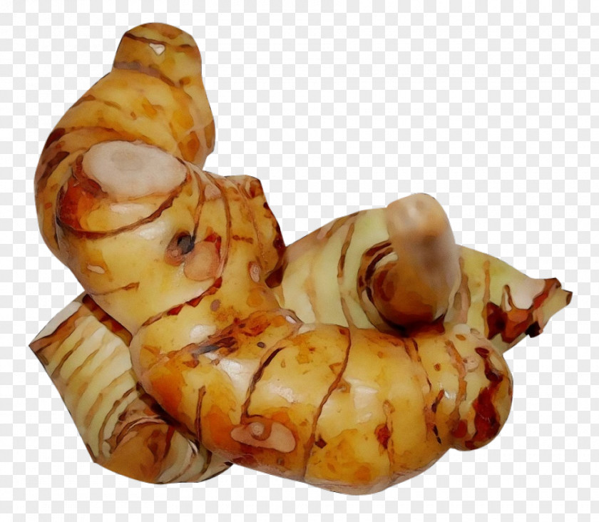 Galangal Tuber Ingredient PNG