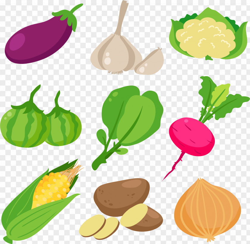 Healthy Eating Green Vegetables Leaf Vegetable Cartoon Clip Art PNG
