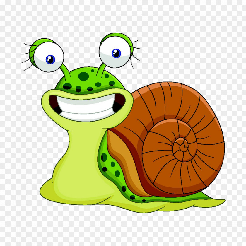 Snails Snail Stock Illustration Clip Art PNG