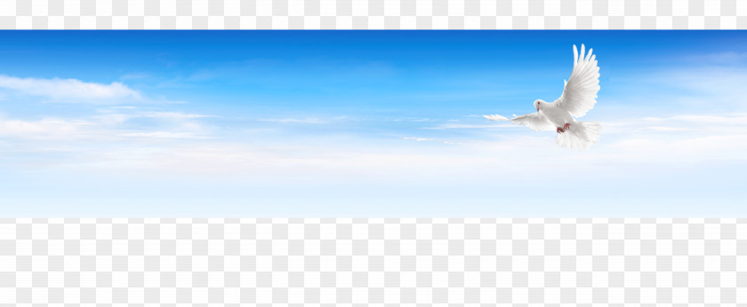 The Blue Sky And White Clouds Flying PNG blue sky and white clouds flying clipart PNG