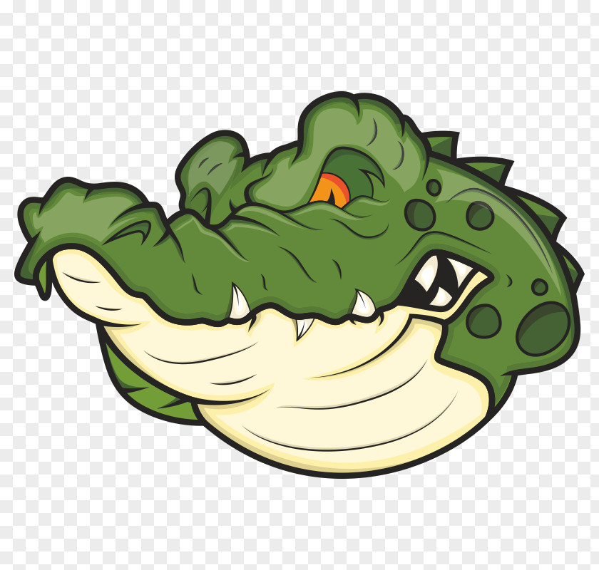 Alligator Crocodile Clip Art PNG