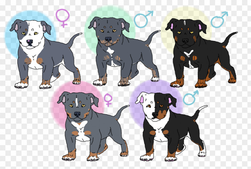 American Bully Manchester Terrier Puppy Dog Breed Razas Nativas Vulnerables PNG