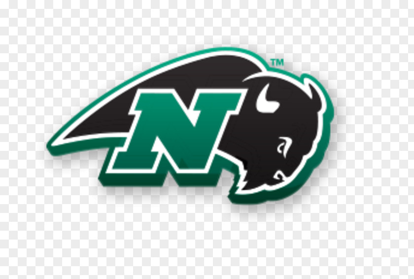 Basketball Nichols College Bison Men's Post University Commonwealth Coast Conference PNG