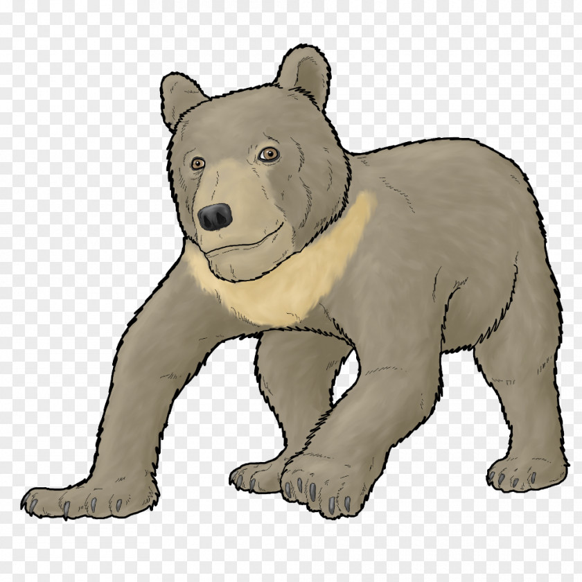 Polar Bear Brown Cave Bears' PNG