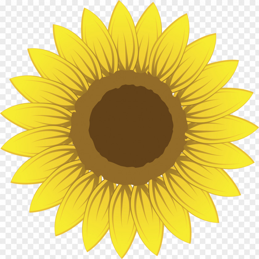 Sunflower Oil Discounts And Allowances Roanoke Children's Theatre Quantity Price PNG