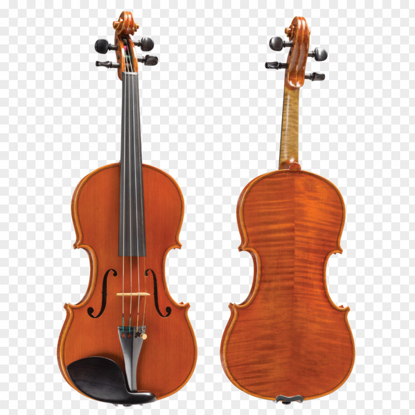 Violin String Instruments Viola Cello Musical PNG