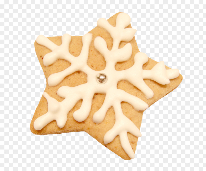 Biscuit Frosting & Icing Cupcake Christmas Cookie Cutter Biscuits PNG