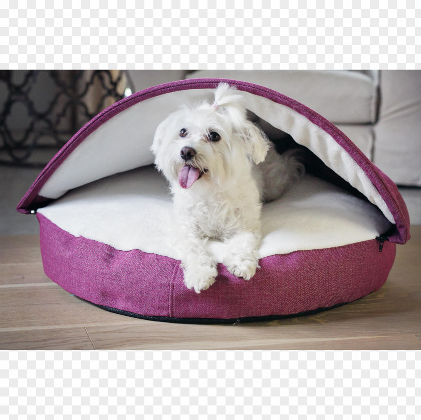 Bolster Bread Pan Dog Breed Maltese Bed PNG