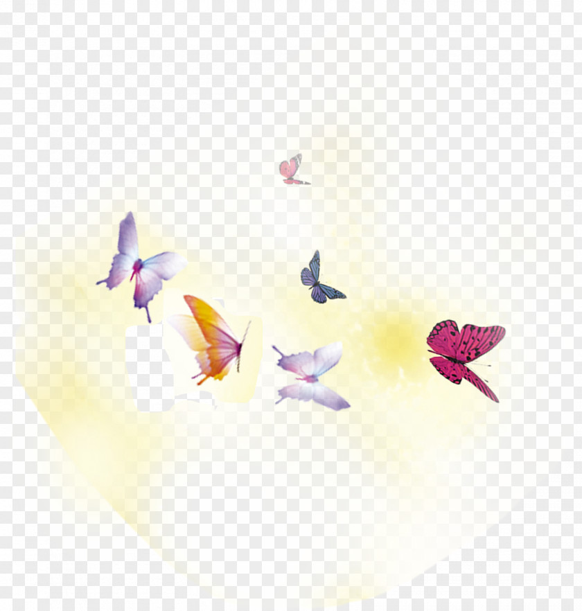 Butterfly Spring PNG