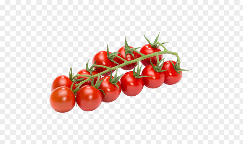 Cherry Tomatoes Plum Tomato Vegetable Campari Bush PNG