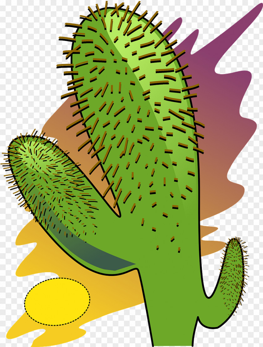 Desert Cactus Weather Clip Art PNG