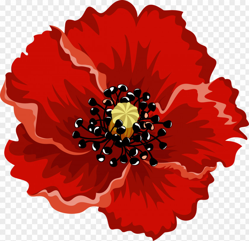 Foto Petal Flower Cookie Cutter Poppy Biscuit PNG