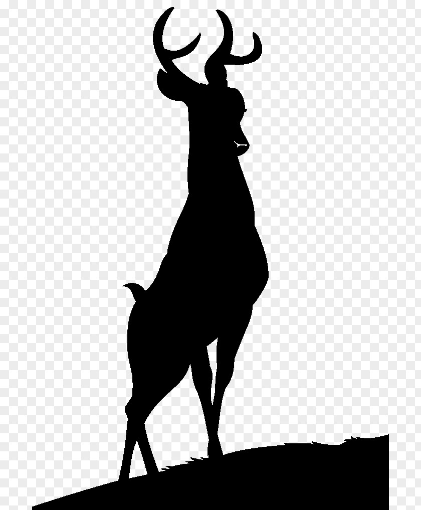 M Mammal Antelope Reindeer Cattle Black & White PNG