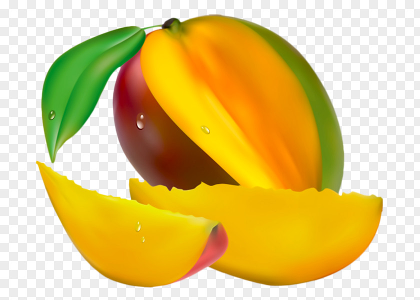 Mango Fruit Tree Plant Juice PNG