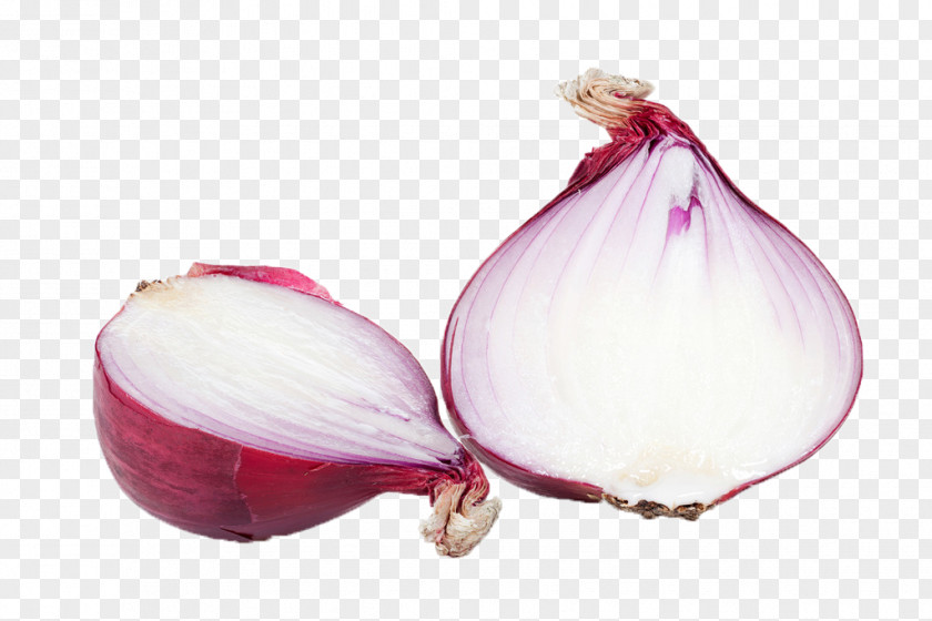 Onion Red Vegetable Food Allium Fistulosum PNG