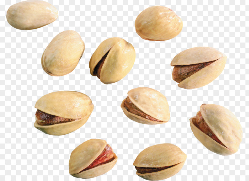 Some Pistachios Pistachio Nut Digital Image Clip Art PNG