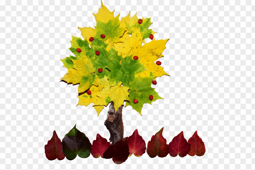 Autumn Leaves Leaf Tree Drawing Photomontage Photography PNG