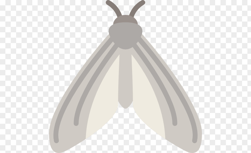 Butterfly Insect PNG