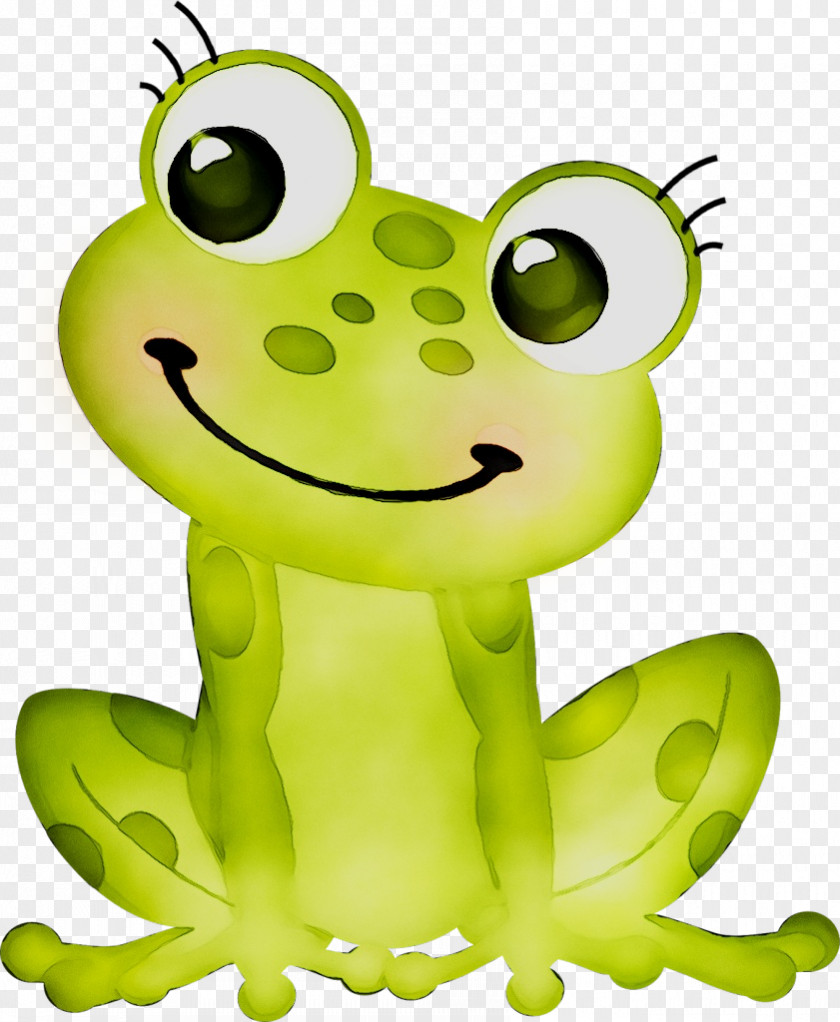 Clip Art Frog Drawing Free Content PNG