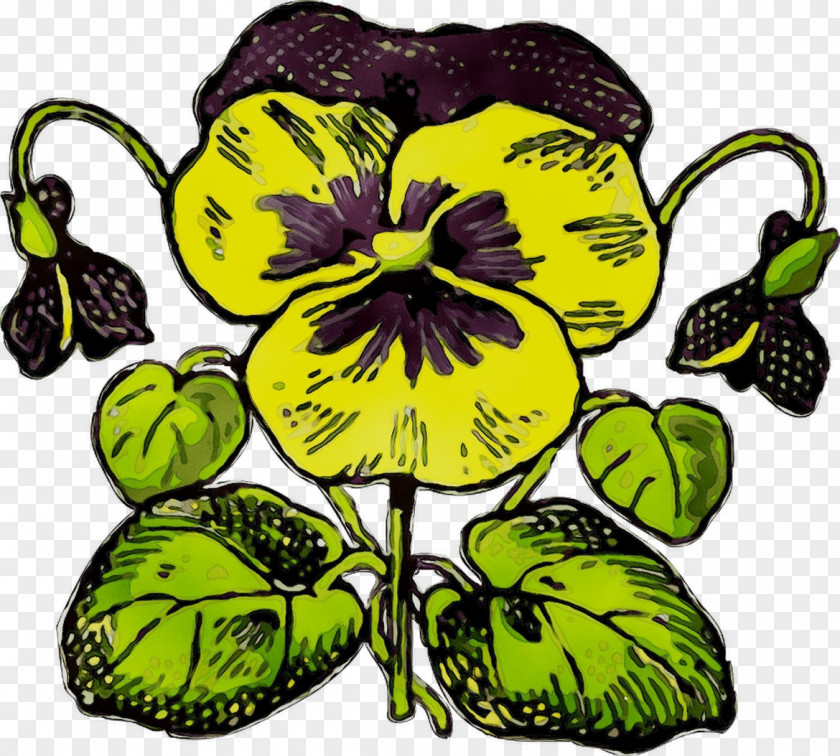 Clip Art Pansy PNG