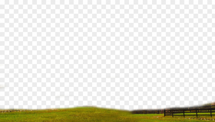 Energy Lawn Steppe Grassland Desktop Wallpaper PNG