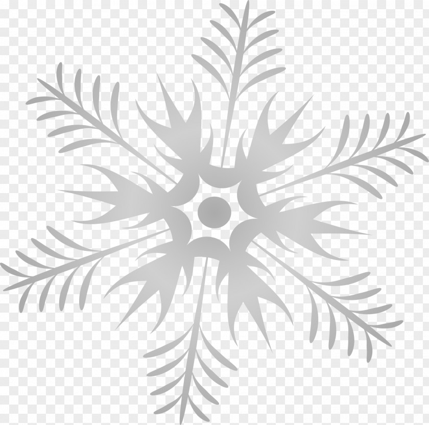 Grey Simple Snowflake Black And White Google Images PNG