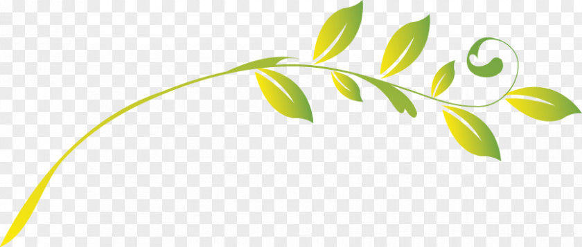 Leaves Tree Drawing PNG