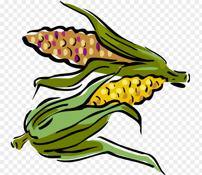 Maize Corn On The Cob Clip Art PNG