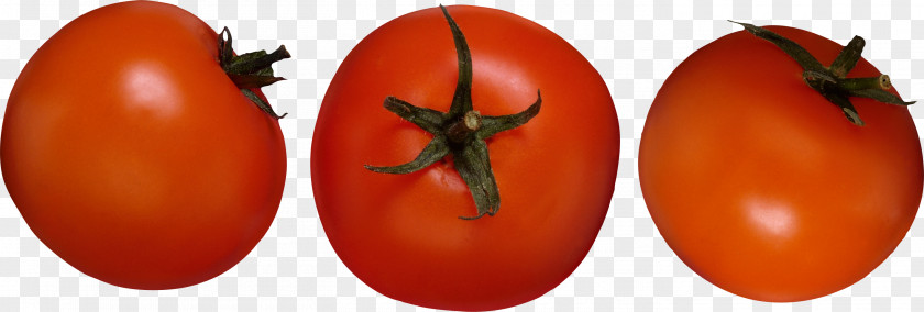 Tomatoes Cherry Tomato Salsa Vegetable Fruit PNG