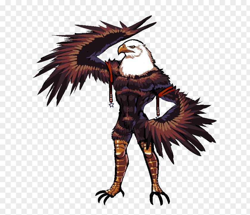 Bird Feather Beak Eagle Wing PNG