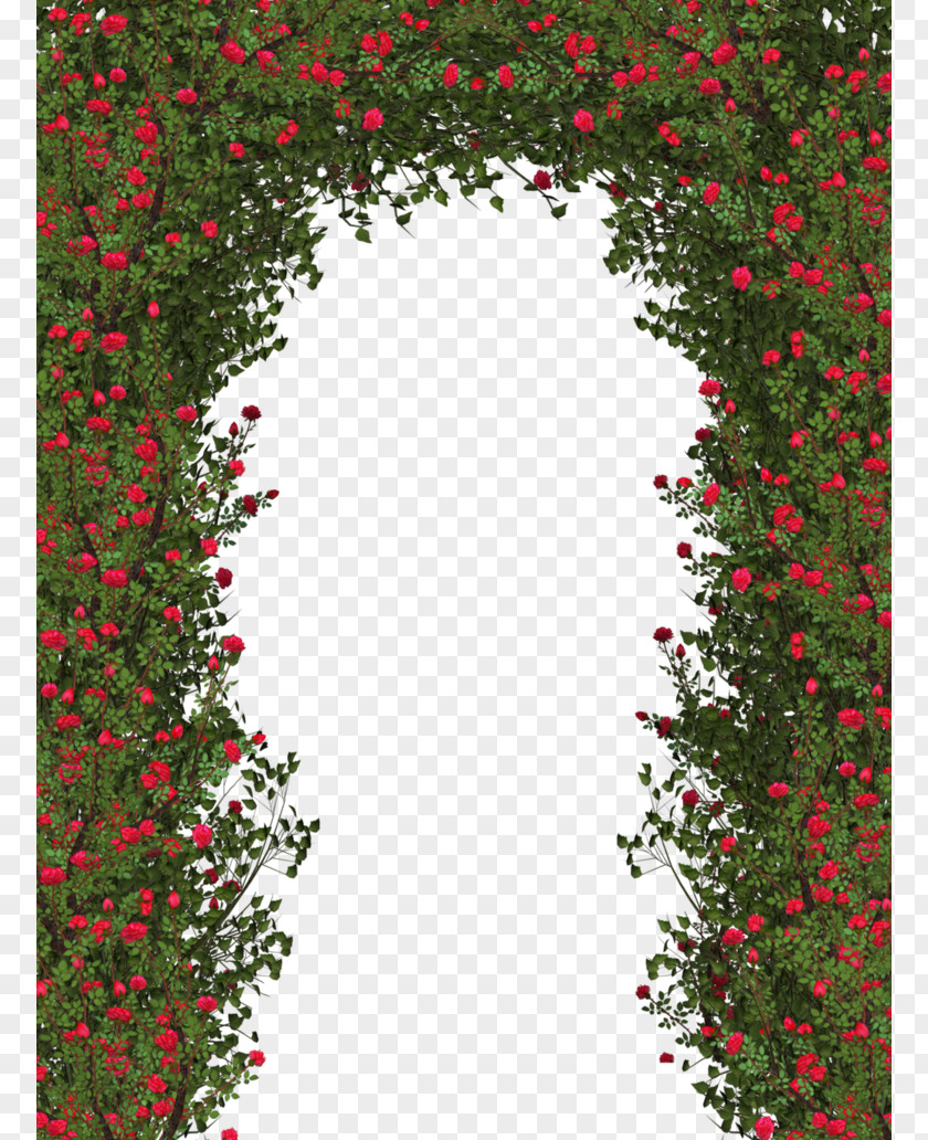 Bushes Rose Shrub Flower Clip Art PNG